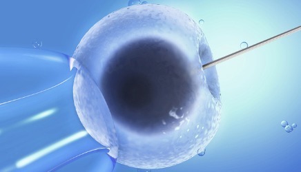 Dr. Zhang